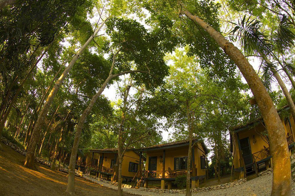 Maruni Sanctuary Lodge By Kgh Group Sauraha Dış mekan fotoğraf